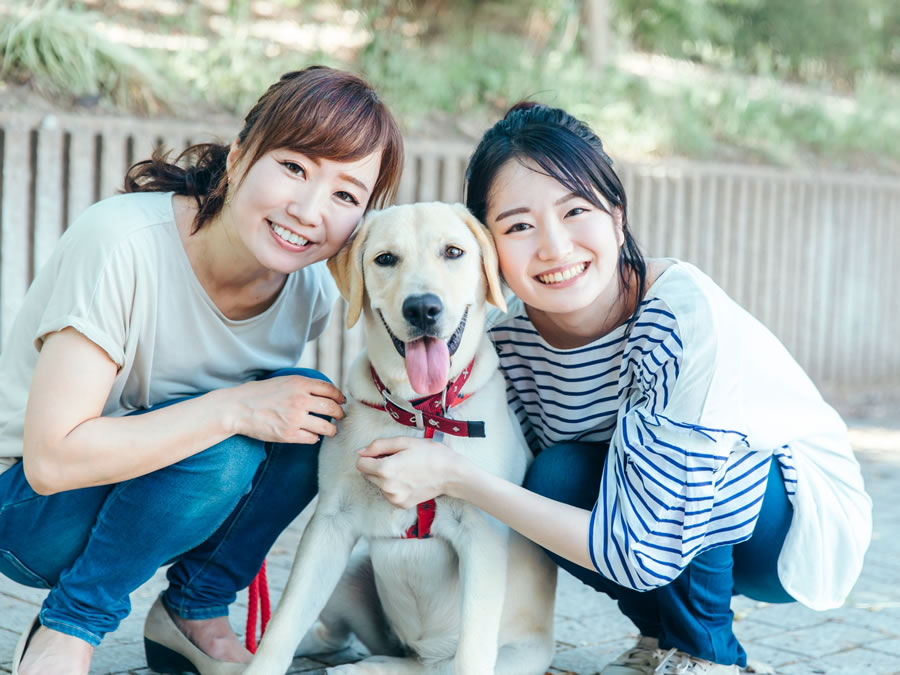 春日部はる動物病院 心臓病検査